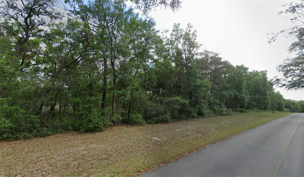 Property for sale at TBD SE 59TH STREET, OCKLAWAHA, FL, 32179