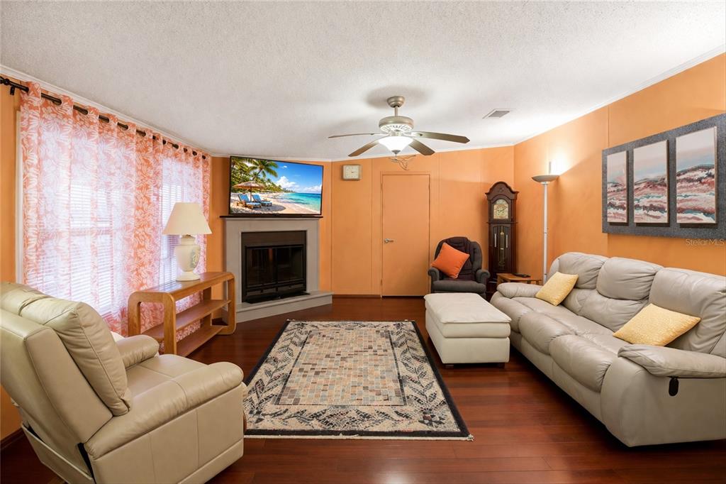 Living room with fireplace