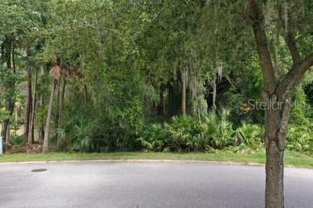 Property for sale at 165 WILLOW OAK WAY, PALM COAST, FL, 32137
