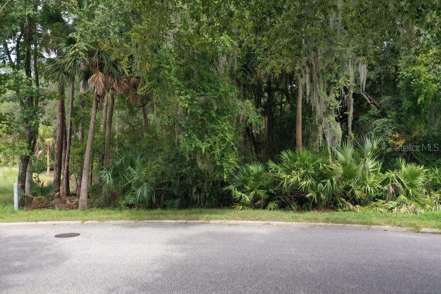 Property for sale at 165 WILLOW OAK WAY, PALM COAST, FL, 32137