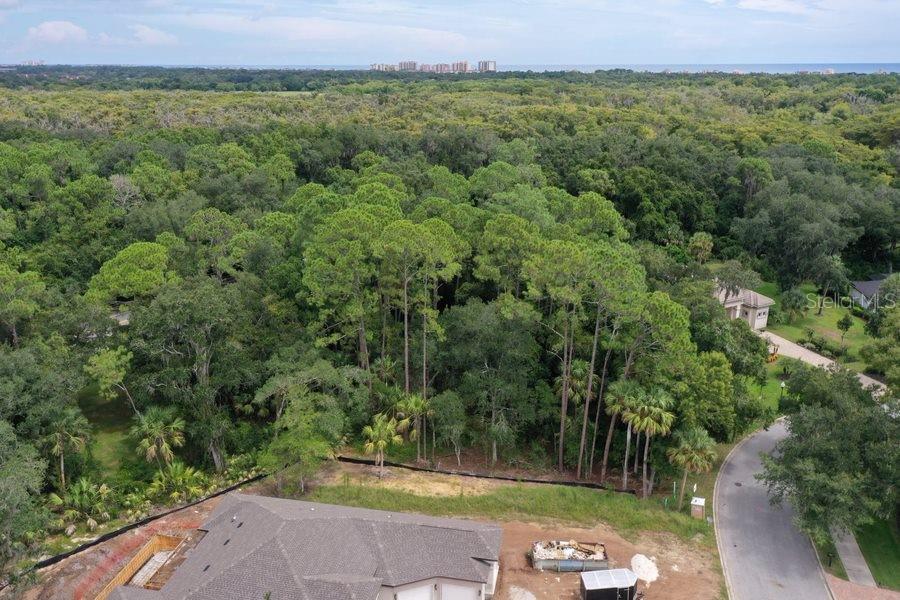 Property for sale at 165 WILLOW OAK WAY, PALM COAST, FL, 32137