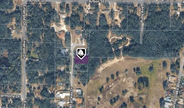 Property for sale at 6176 FAIRWAY DRIVE, RIDGE MANOR, FL, 33523