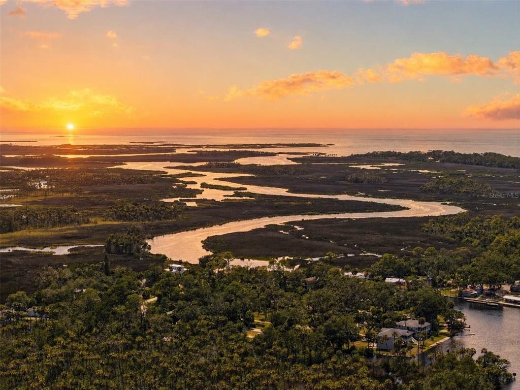 Nature Coast Beauty