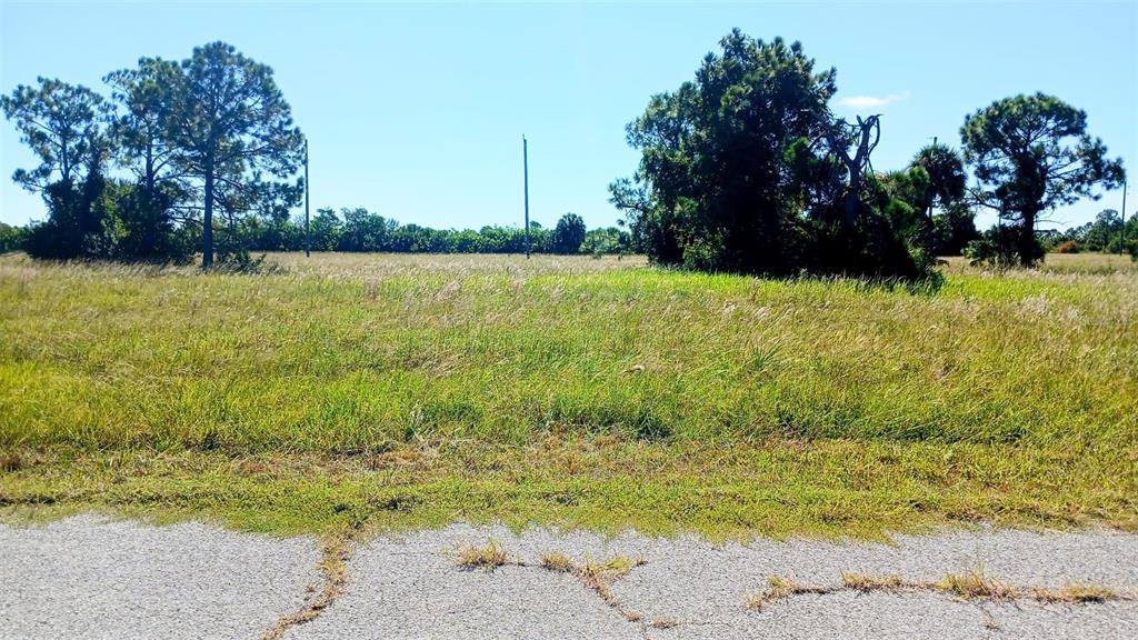 Property for sale at 13732 WALLEYE WAY, PLACIDA, FL, 33946