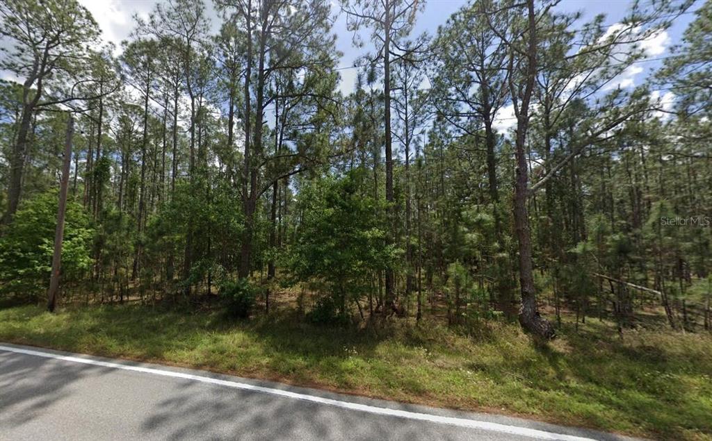 Property for sale at POYNER OAKS ROAD N, POLK CITY, FL, 33868