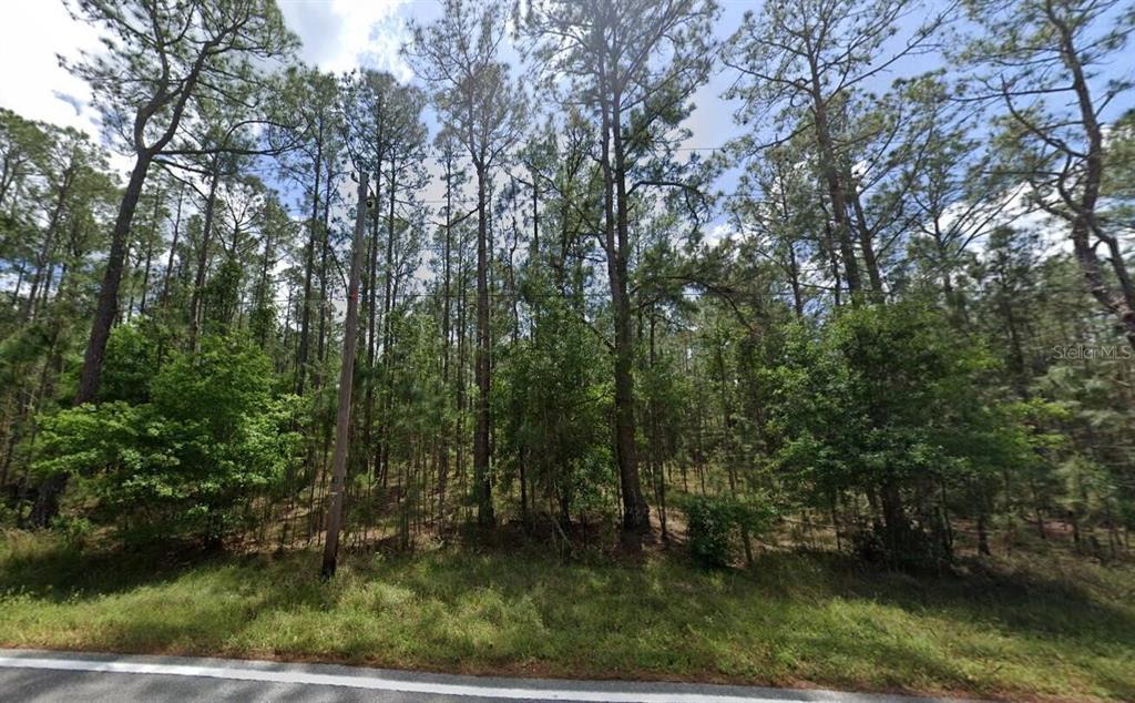 Property for sale at POYNER OAKS ROAD N, POLK CITY, FL, 33868
