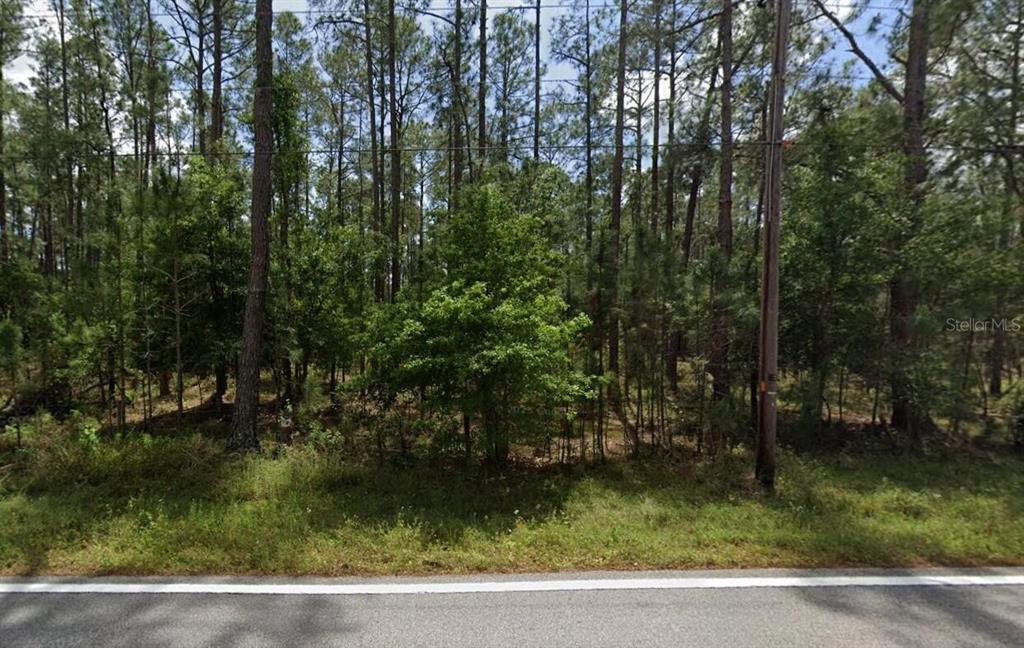 Property for sale at POYNER OAKS ROAD N, POLK CITY, FL, 33868
