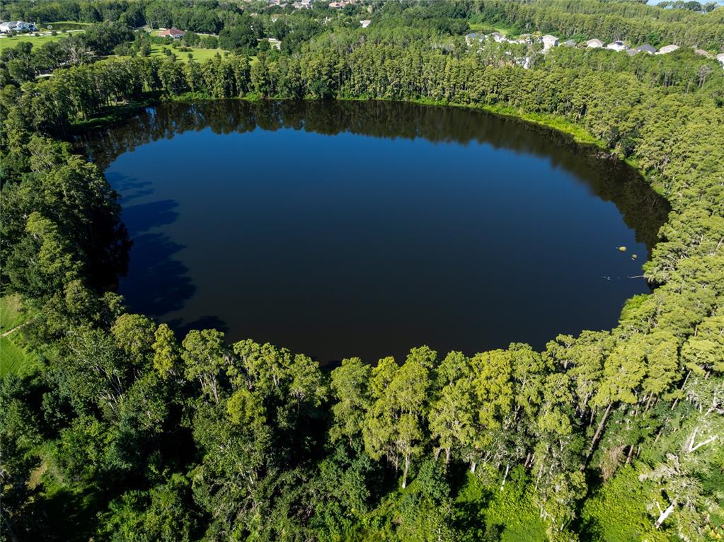 Property for sale at 5135 COLLIER PARKWAY, LAND O LAKES, FL, 34639