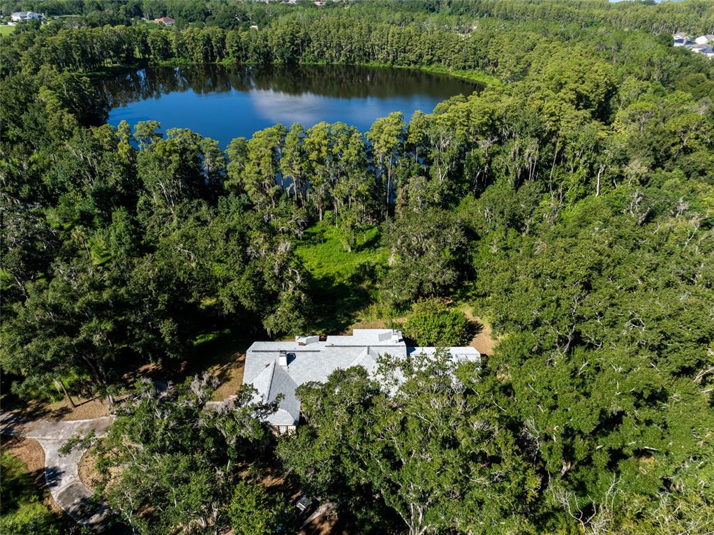 Property for sale at 5135 COLLIER PARKWAY, LAND O LAKES, FL, 34639