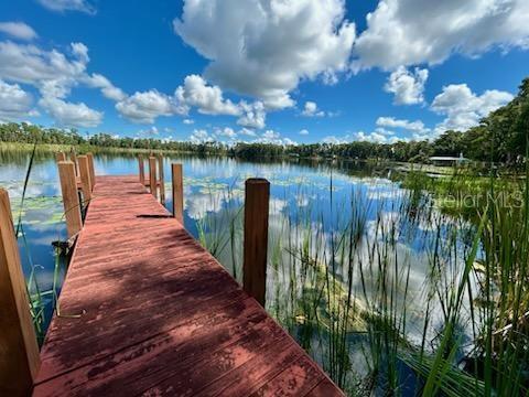 Property for sale at 17101 ARROWHEAD BOULEVARD, WINTER GARDEN, FL, 34787