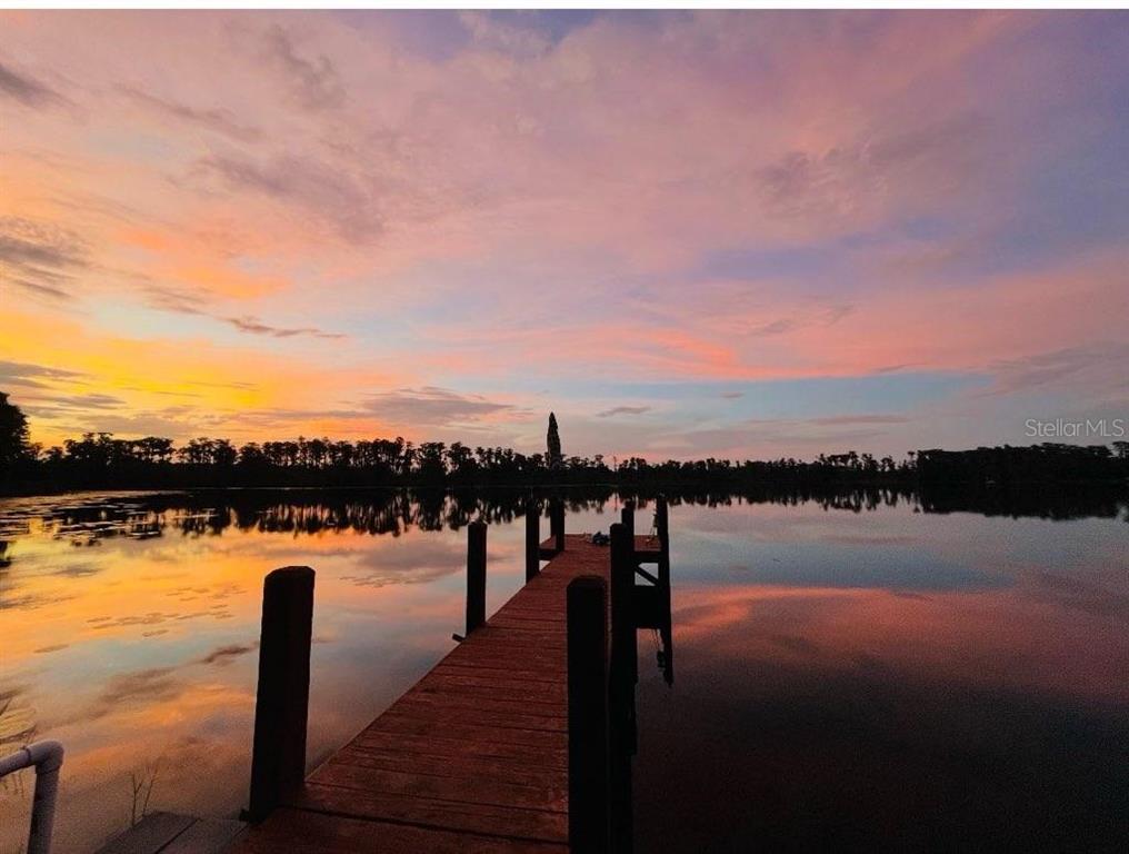 Property for sale at 17101 ARROWHEAD BOULEVARD, WINTER GARDEN, FL, 34787