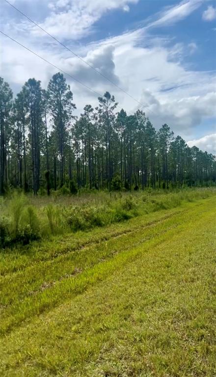 Property for sale at Combined Lots 3 & 4 SE FAMILY ROAD, LAKE CITY, FL, 32025