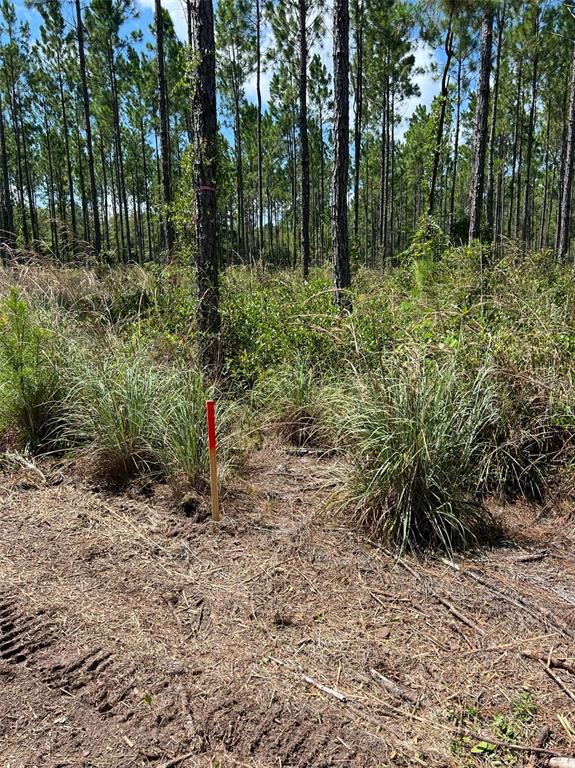 Property for sale at Combined Lots 3 & 4 SE FAMILY ROAD, LAKE CITY, FL, 32025