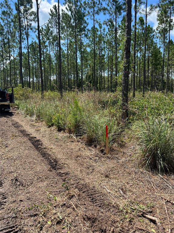 Property for sale at Combined Lots 3 & 4 SE FAMILY ROAD, LAKE CITY, FL, 32025