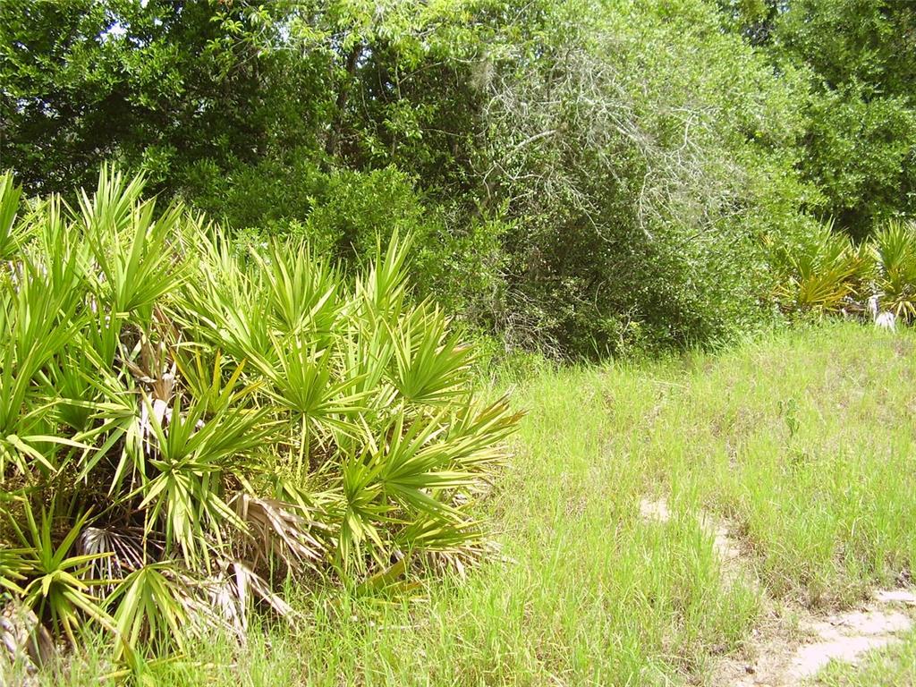 Property for sale at 1457 KISSIMMEE WAY, KISSIMMEE, FL, 34759