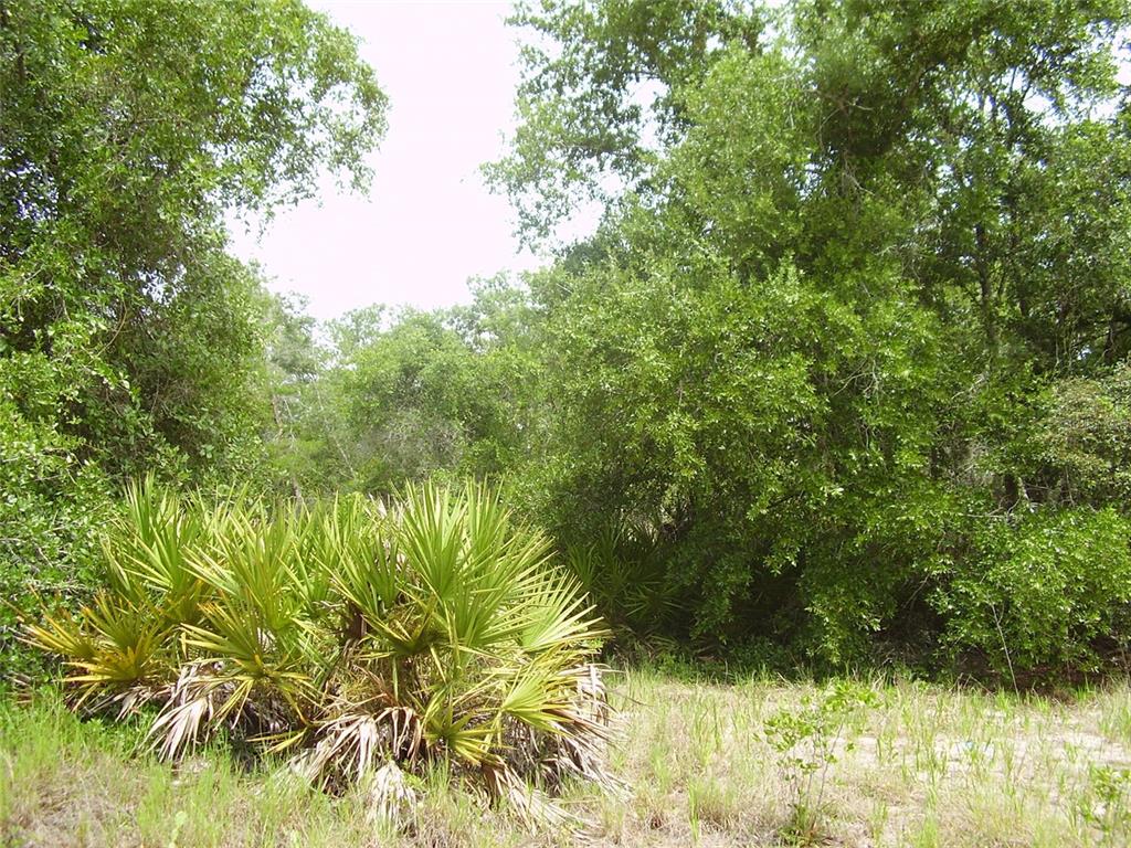 Property for sale at 1457 KISSIMMEE WAY, KISSIMMEE, FL, 34759