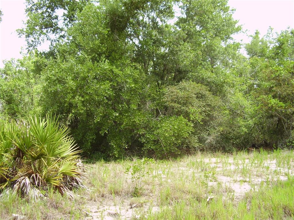 Property for sale at 1457 KISSIMMEE WAY, KISSIMMEE, FL, 34759