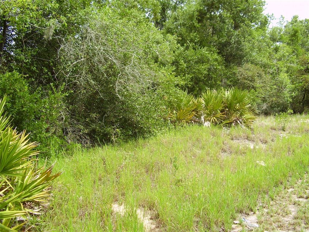 Property for sale at 1457 KISSIMMEE WAY, KISSIMMEE, FL, 34759