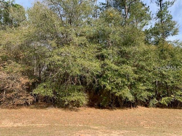 Property for sale at 167 SPARKLEBERRY BOULEVARD, QUINCY, FL, 32351