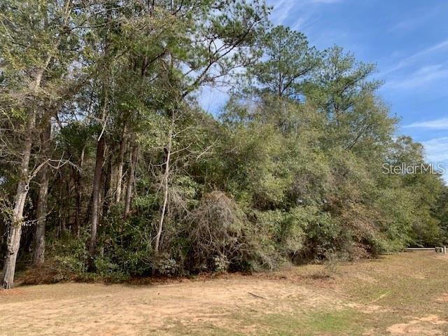 Property for sale at 167 SPARKLEBERRY BOULEVARD, QUINCY, FL, 32351
