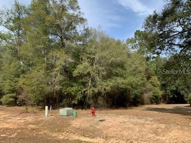 Property for sale at 167 SPARKLEBERRY BOULEVARD, QUINCY, FL, 32351