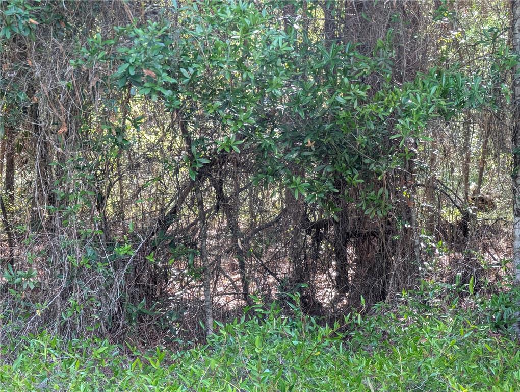 Property for sale at 202ND CT, DUNNELLON, FL, 34431