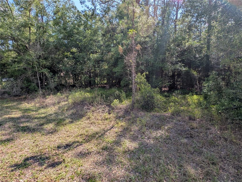 Property for sale at 202ND CT, DUNNELLON, FL, 34431