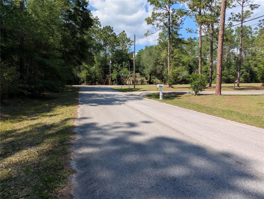 Street view looking north