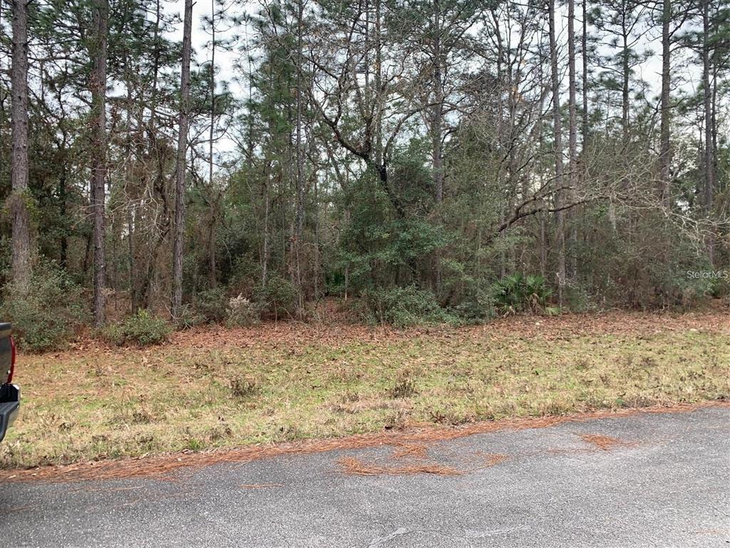 Property for sale at 156 ST, OCALA, FL, 34473