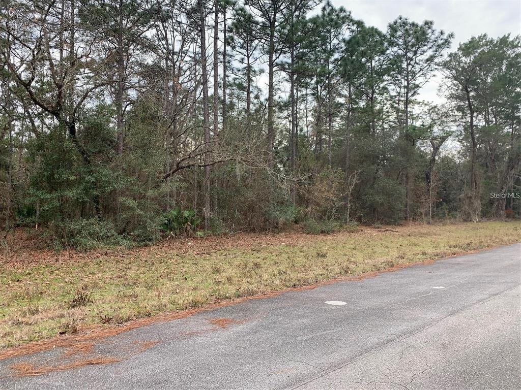 Property for sale at 156 ST, OCALA, FL, 34473