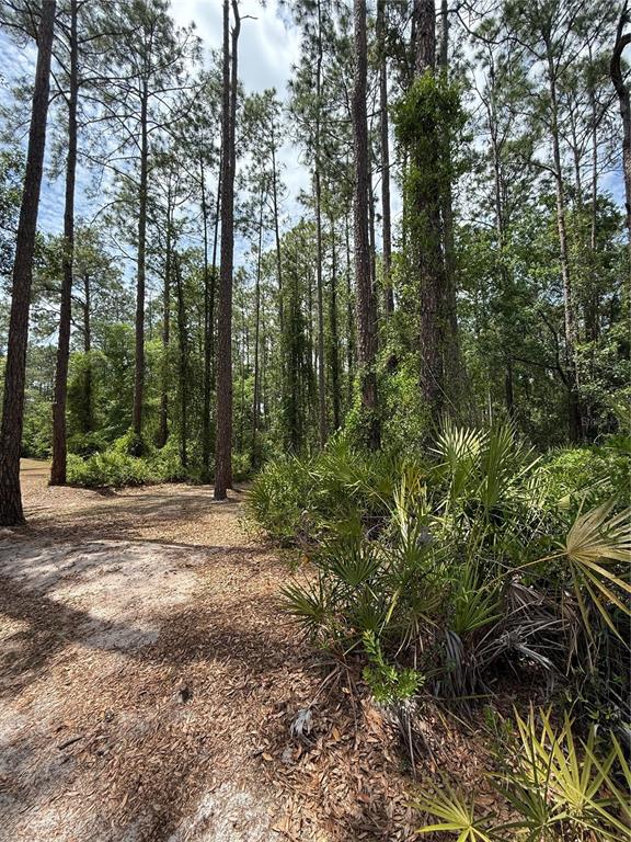 Property for sale at TBD NE 156TH LANE, FORT MC COY, FL, 32134