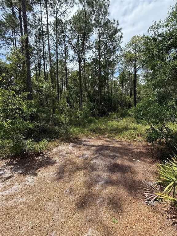 Property for sale at TBD NE 156TH LANE, FORT MC COY, FL, 32134