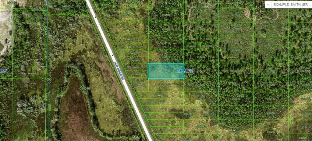 Property for sale at OLD GRADE ROAD, POLK CITY, FL, 33868