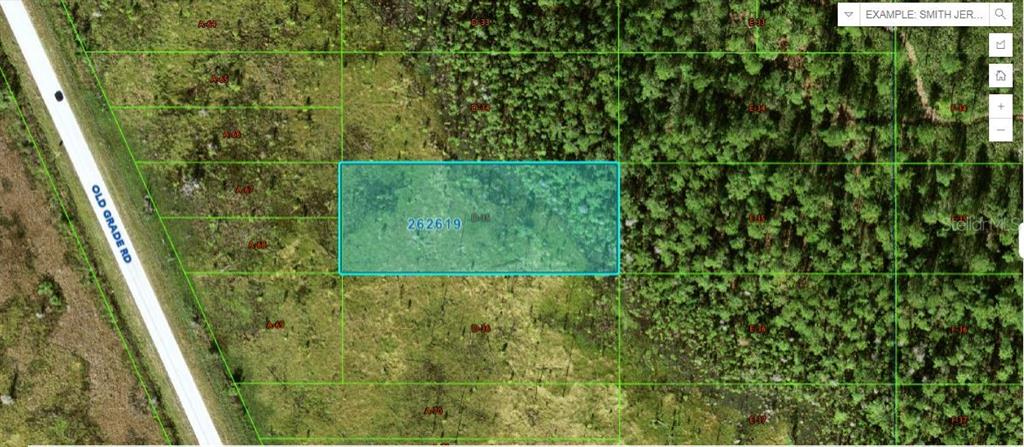 Property for sale at OLD GRADE ROAD, POLK CITY, FL, 33868