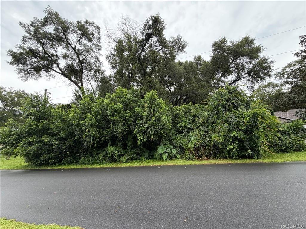 Property for sale at 6140 E IVY LANE, INVERNESS, FL, 34452