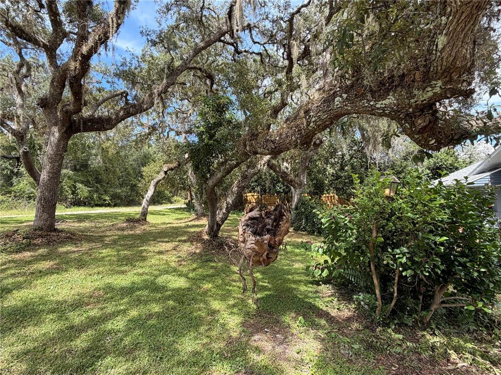 Property for sale at 1077 SE 170TH COURT, SILVER SPRINGS, FL, 34488