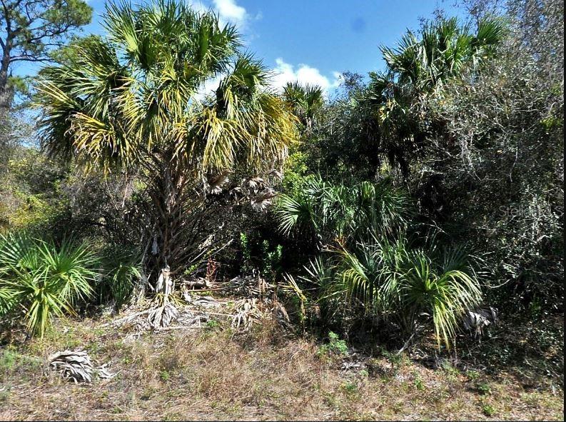Property for sale at NORTON DRIVE, NORTH PORT, FL, 34288