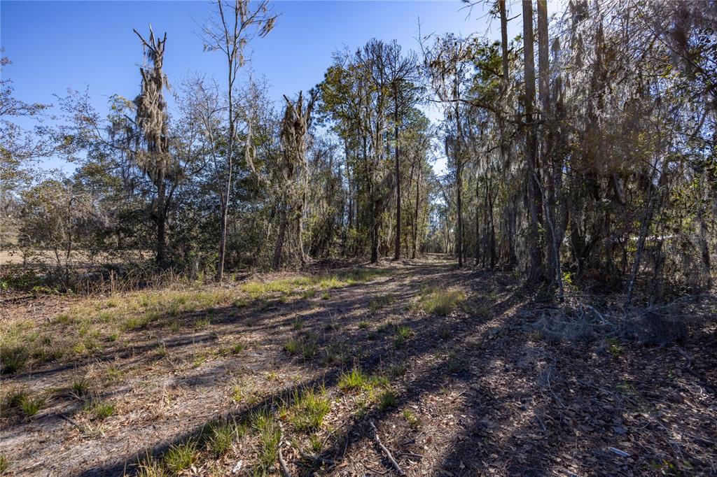 Property for sale at 155TH WAY, STARKE, FL, 32091