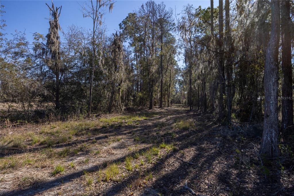 Property for sale at 155TH WAY, STARKE, FL, 32091