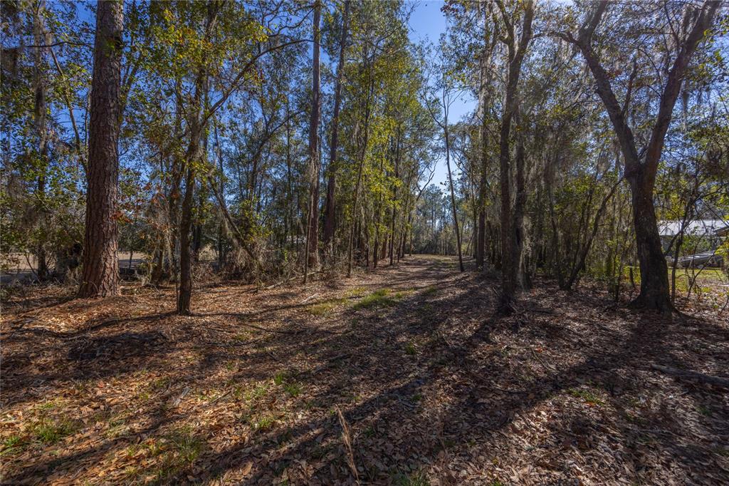 Property for sale at 155TH WAY, STARKE, FL, 32091