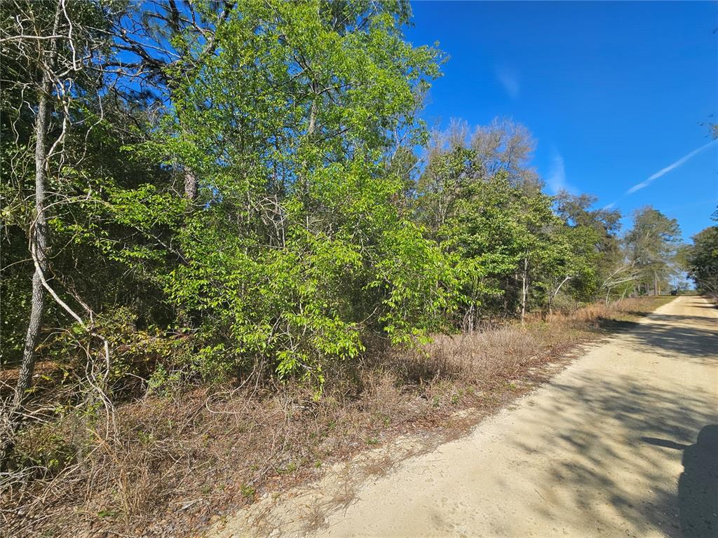 Property for sale at 1790 NE 156TH TERRACE, WILLISTON, FL, 32696