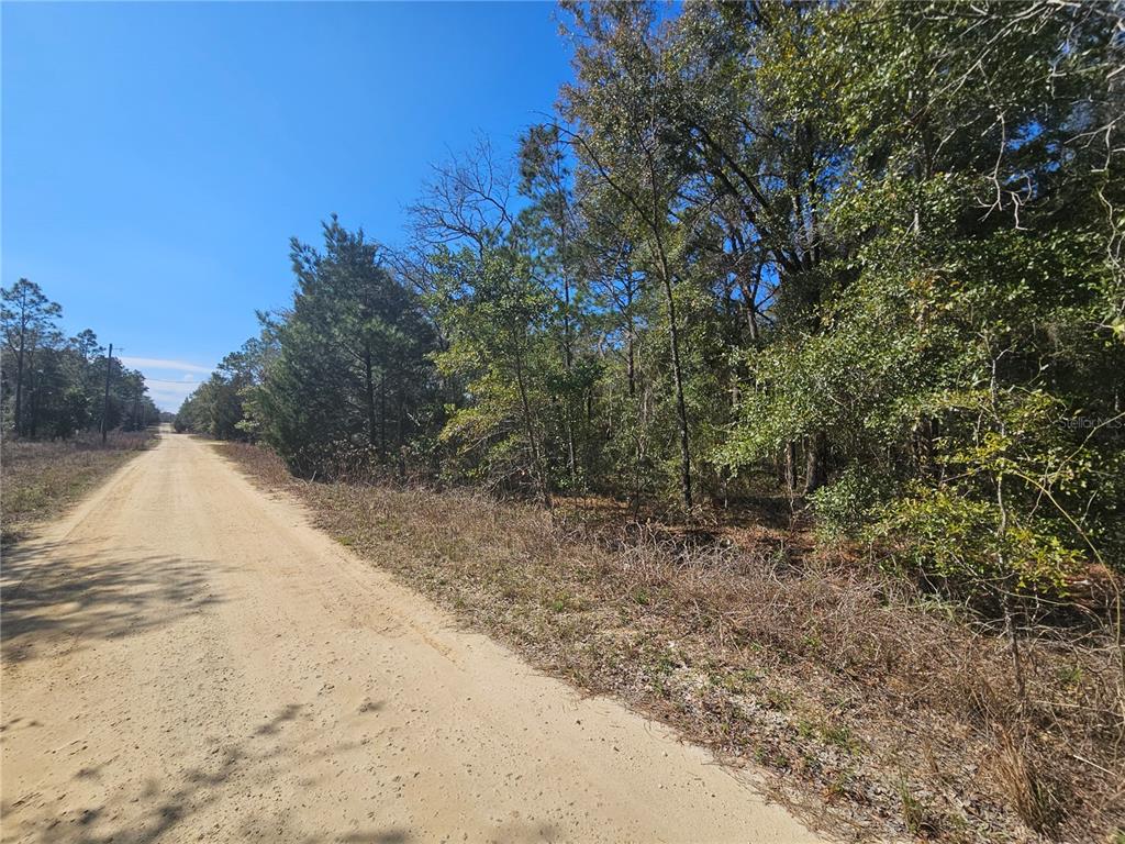 Property for sale at 1790 NE 156TH TERRACE, WILLISTON, FL, 32696