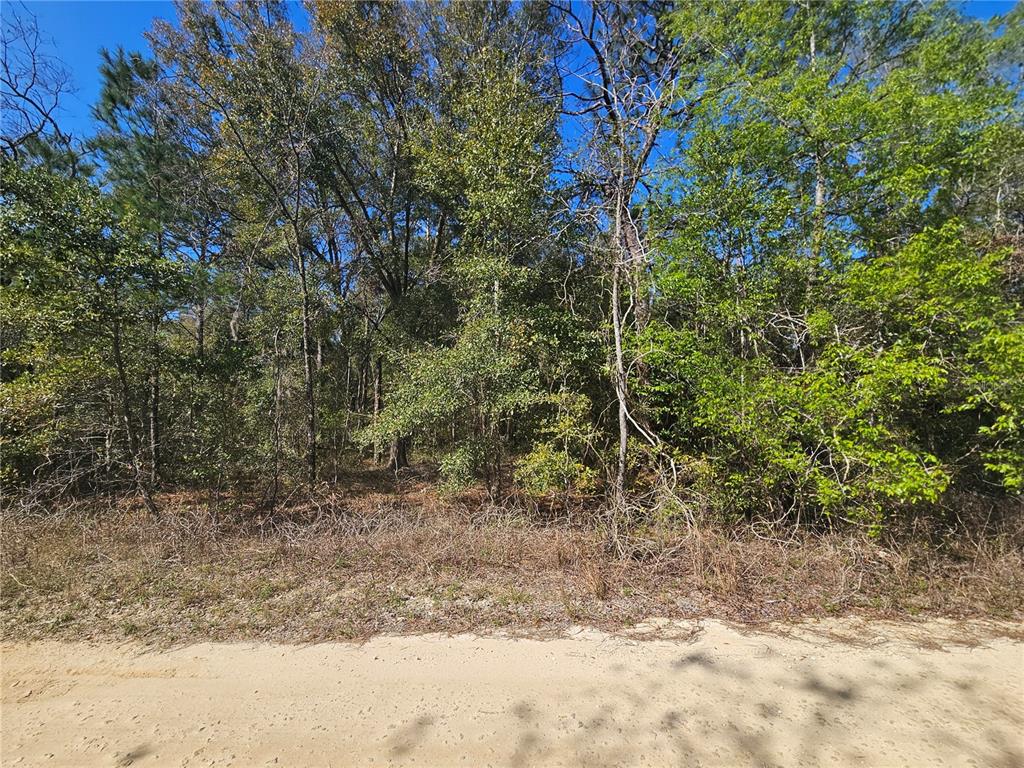 Property for sale at 1790 NE 156TH TERRACE, WILLISTON, FL, 32696