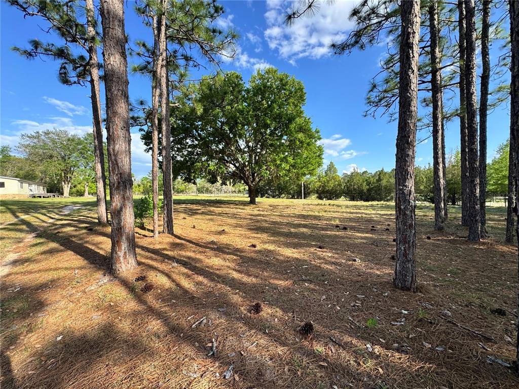 Property for sale at 4551 NE 132ND COURT, WILLISTON, FL, 32696