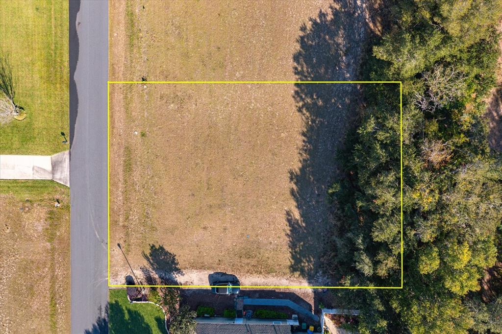 1009 MYRTLE BREEZES COURT, FRUITLAND PARK, FL 34731
