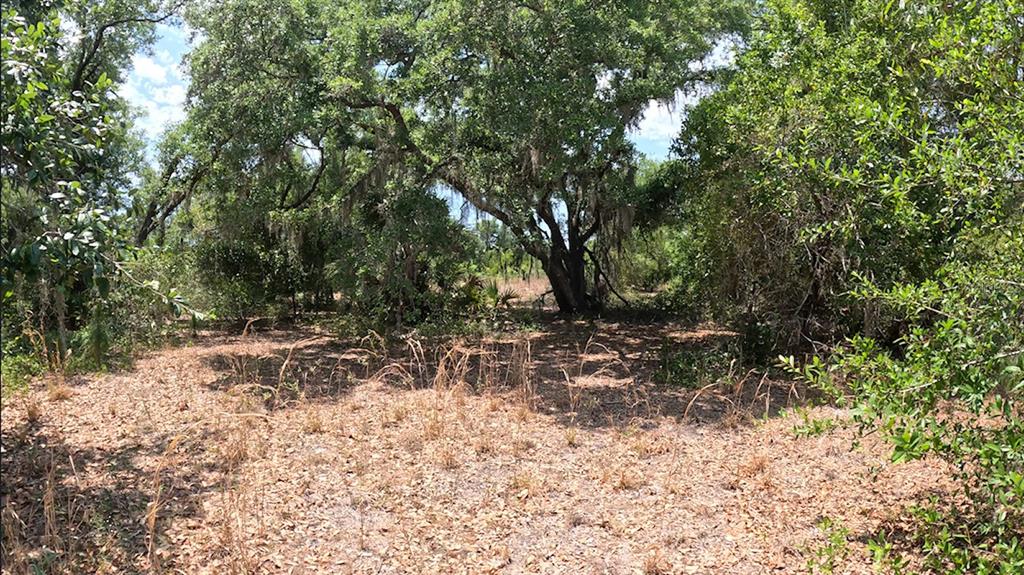 Property for sale at HAMER TERRACE Lot 25, NORTH PORT, FL, 34291