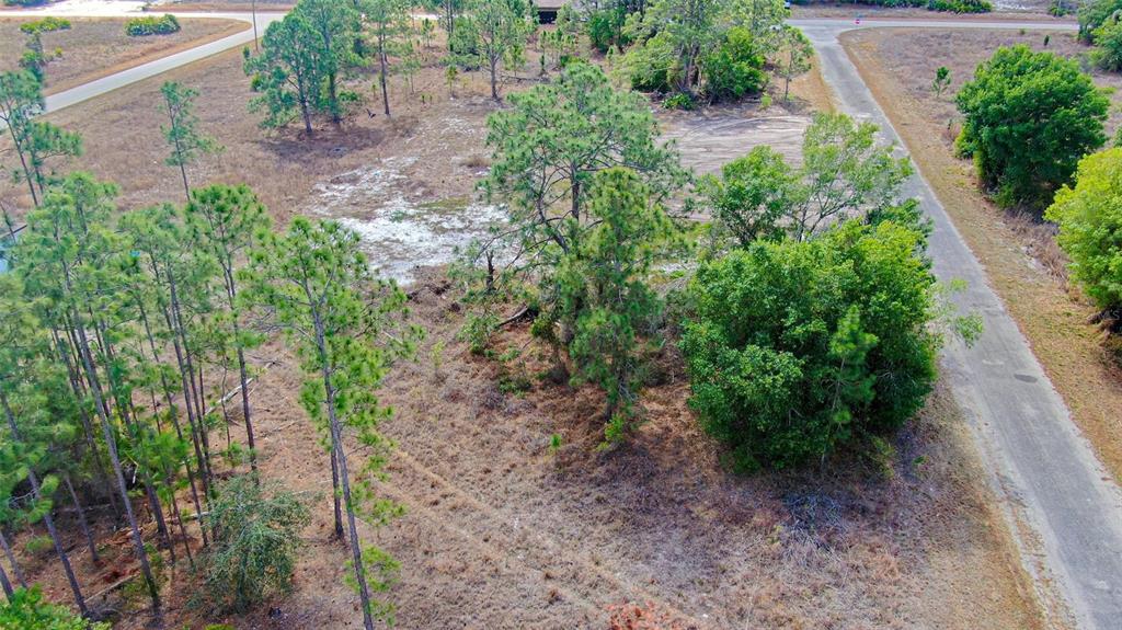Property for sale at 841 DANTE AVENUE S, LEHIGH ACRES, FL, 33974