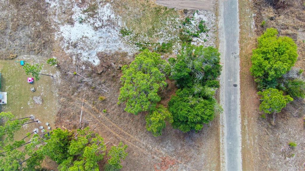 Property for sale at 841 DANTE AVENUE S, LEHIGH ACRES, FL, 33974