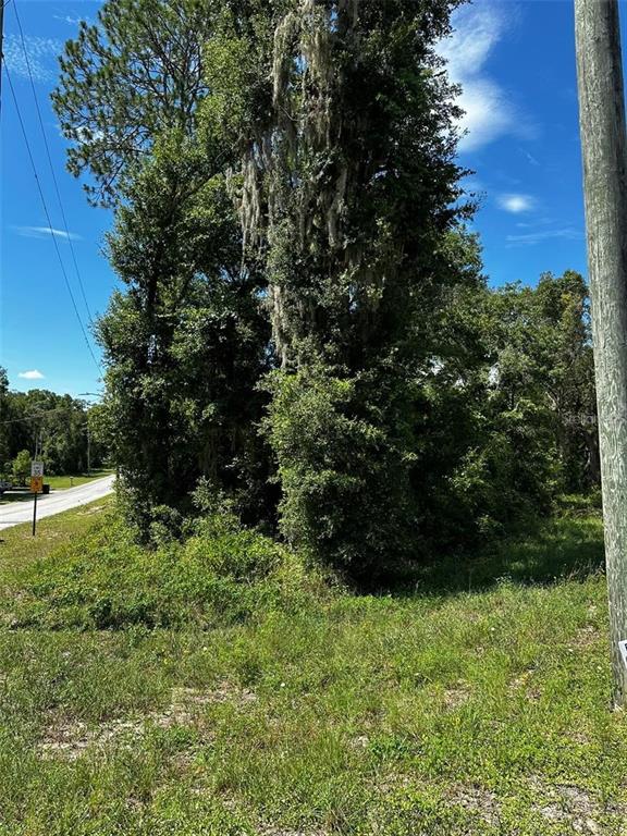 Property for sale at xx THRASHER DR, BRONSON, FL, 32621