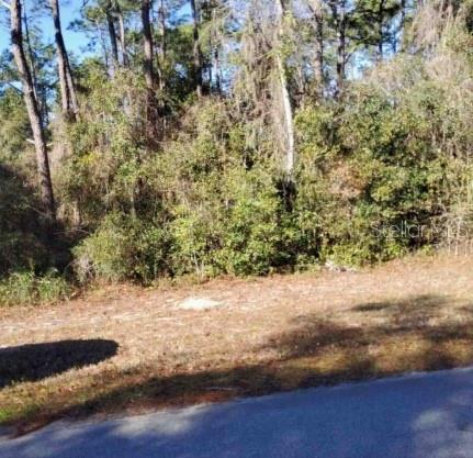 Property for sale at Lot 138 SE 168TH TERRACE, OCKLAWAHA, FL, 32179